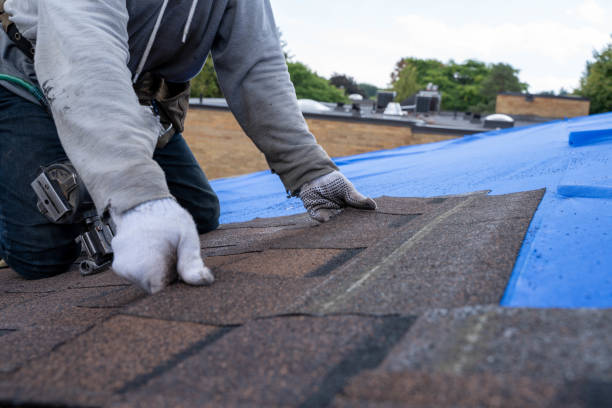 Best Shingle Roofing Installation  in Big Stone Gap, VA