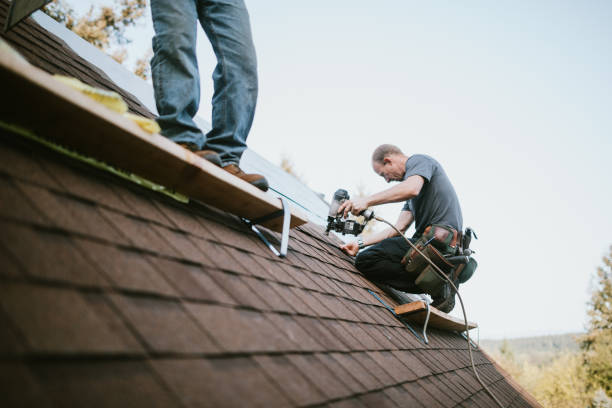 Best Roof Gutter Cleaning  in Big Stone Gap, VA